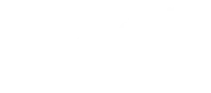 Bordsteinschwalbe-Foodtruck-flying-eatery